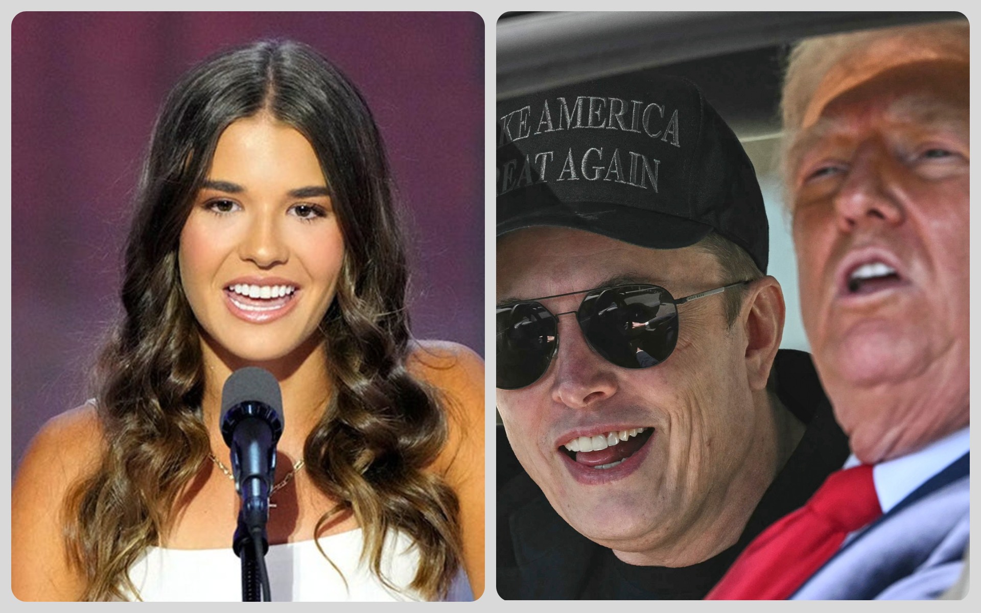 elon musk kai trump
