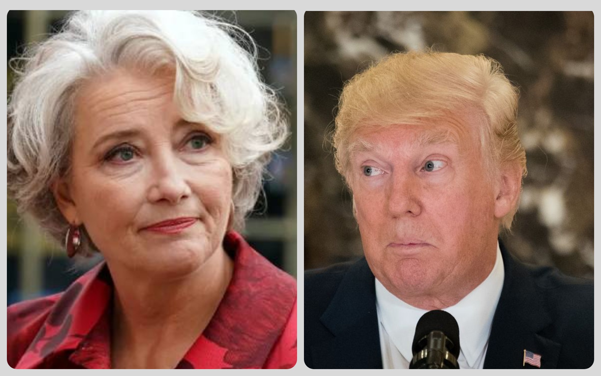 Emma Thompson Donald Trump