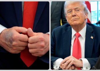 trump hands