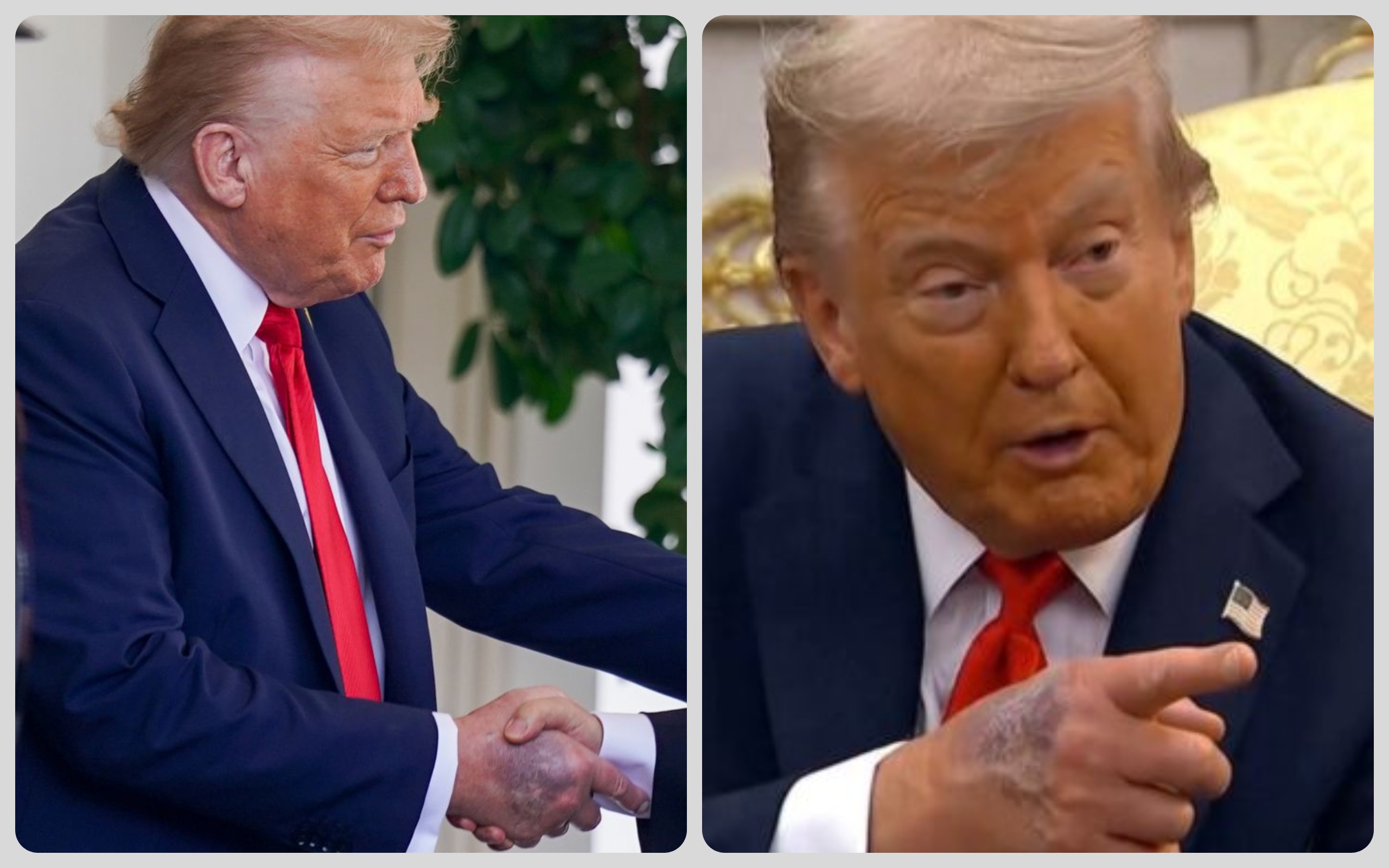 trump hands