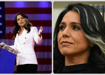 Tulsi Gabbard