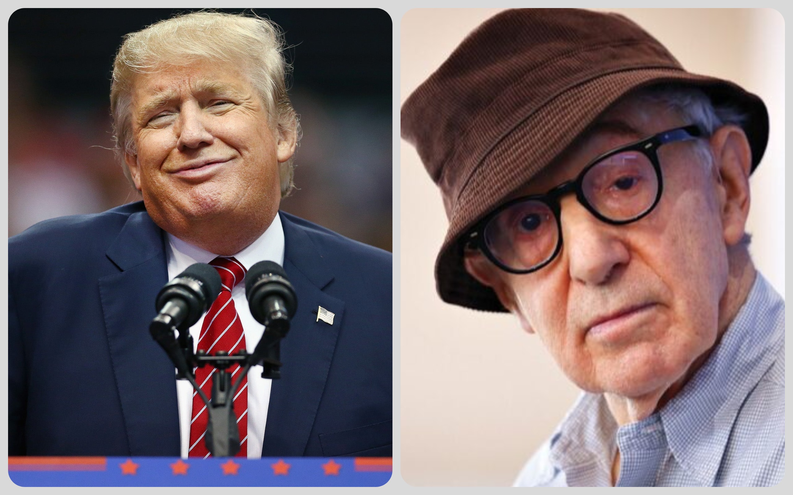 Woody Allen calls Donald Trump