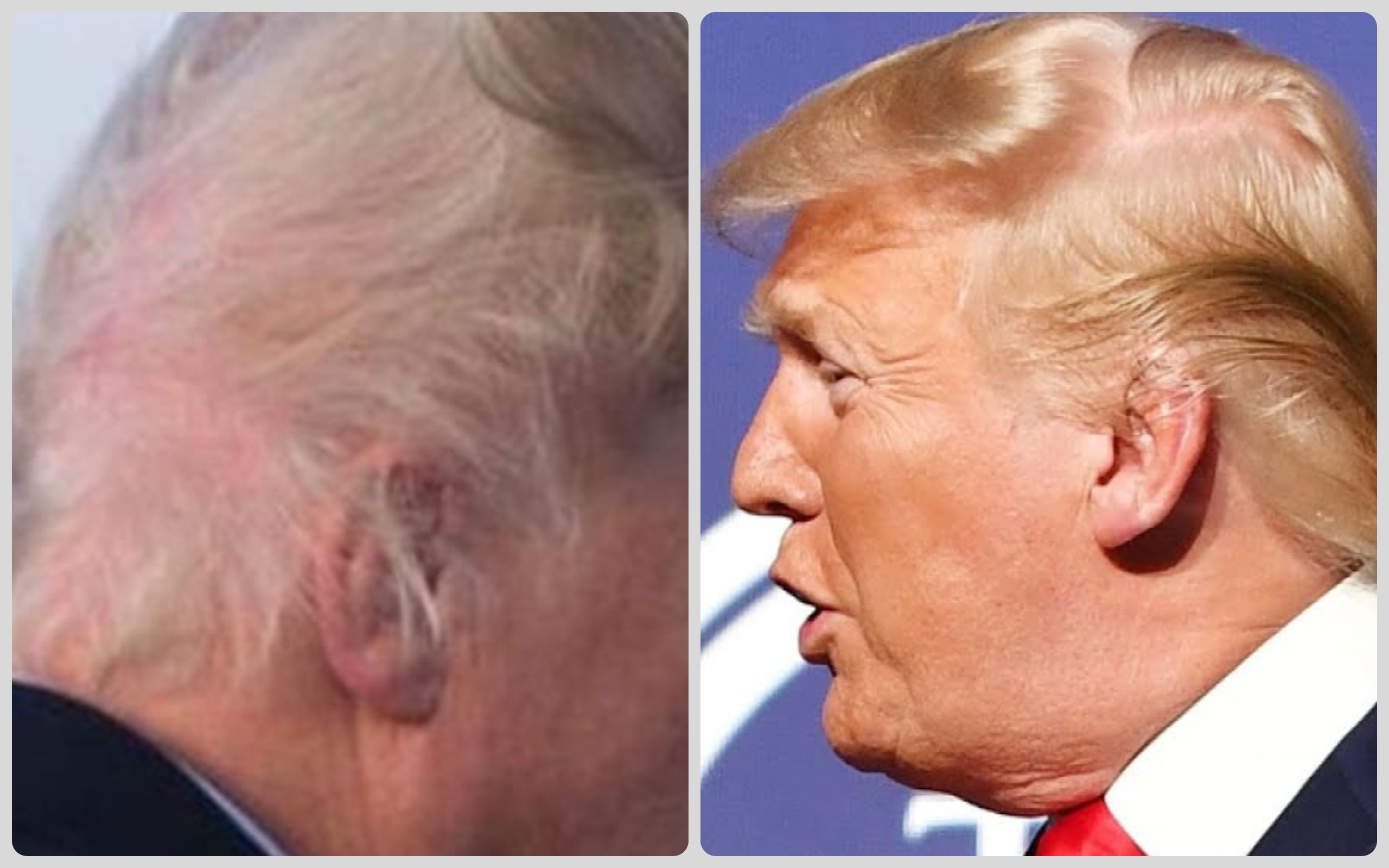 trump hair