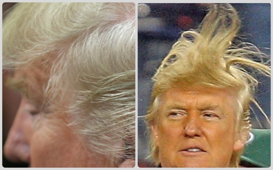 trump hair